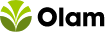 Olam logo
